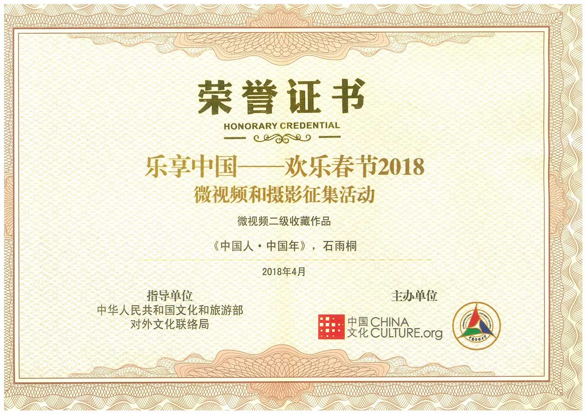 “乐享中国—欢乐春节2018“短视频大赛-二等奖